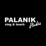 Palanik Studio
